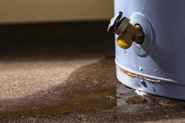 Best 24-hour water damage restoration  in Algona, WA