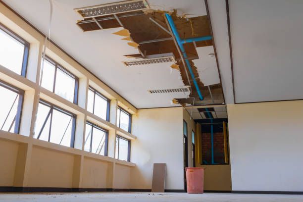 Best Carpet water damage restoration  in Algona, WA