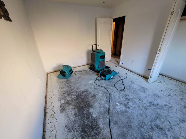 Best Emergency water damage restoration  in Algona, WA