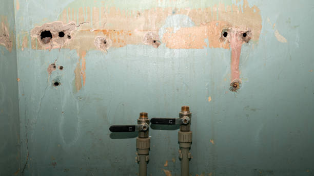 Best Basement water damage restoration  in Algona, WA