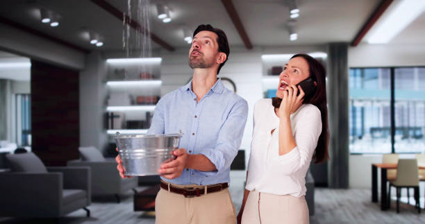 Best Professional water damage repair  in Algona, WA